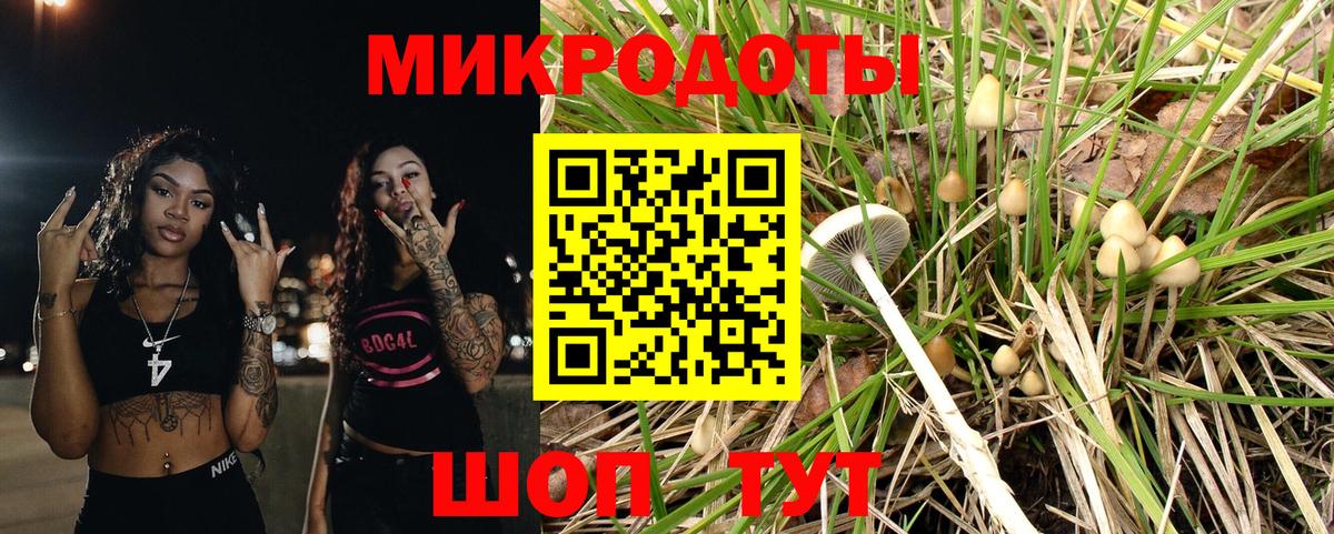 Псилоцибиновые грибы ЛСД Юрга